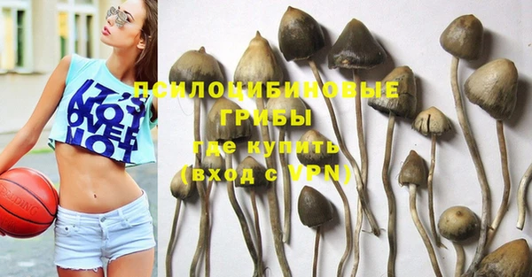 таблы Армянск