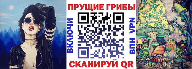 закладки  Арсеньев  Галлюциногенные грибы Psilocybine cubensis 